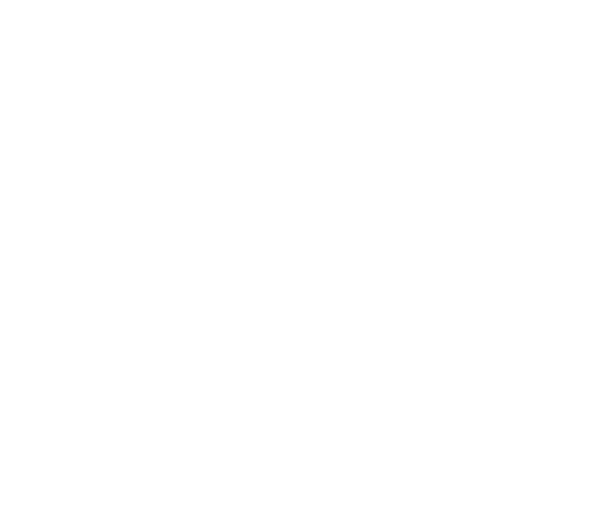Promoplug Logo